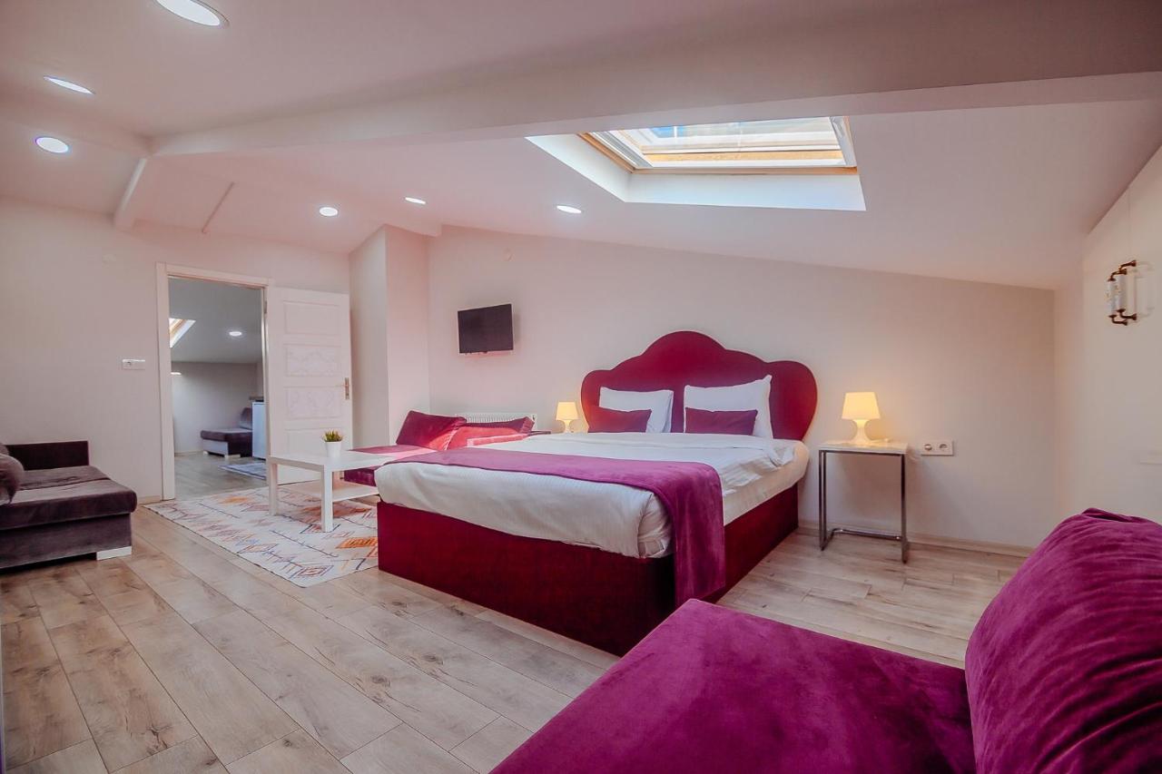 Appartement Loft 1 Chambre
