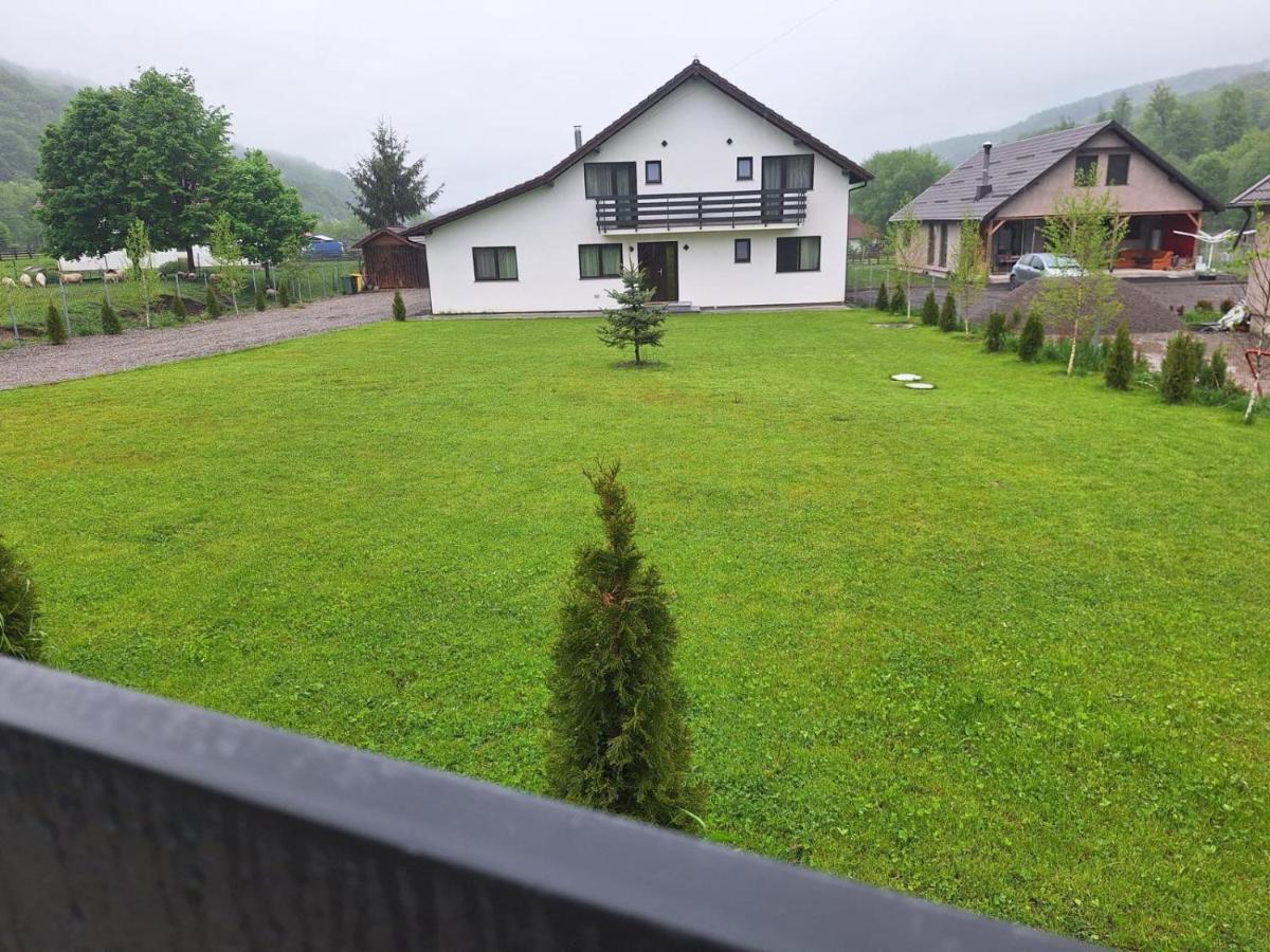Hillside Chalet - B&B Buzăiel