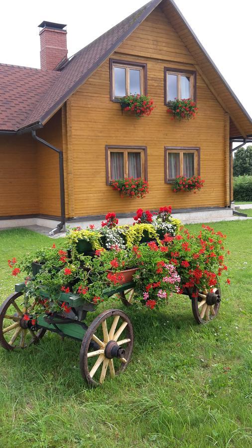 Atpūtas namiņš - B&B
