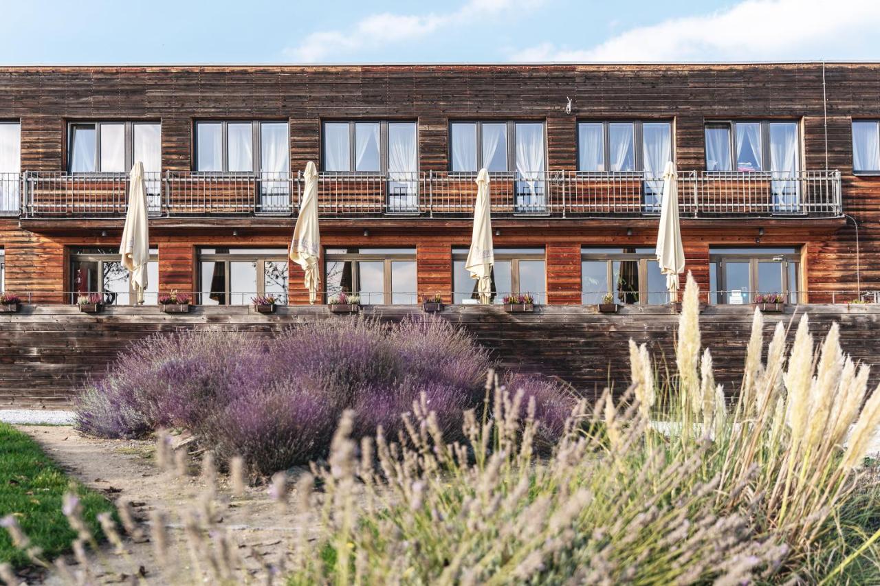 Pension Jezerná - B&B
