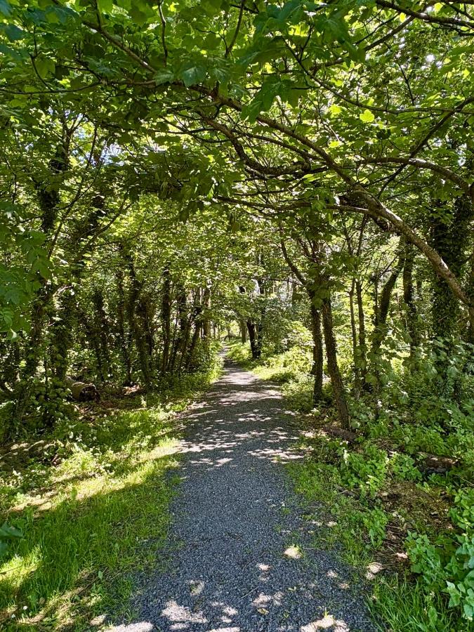 Luxury home in Oranmore - B&B