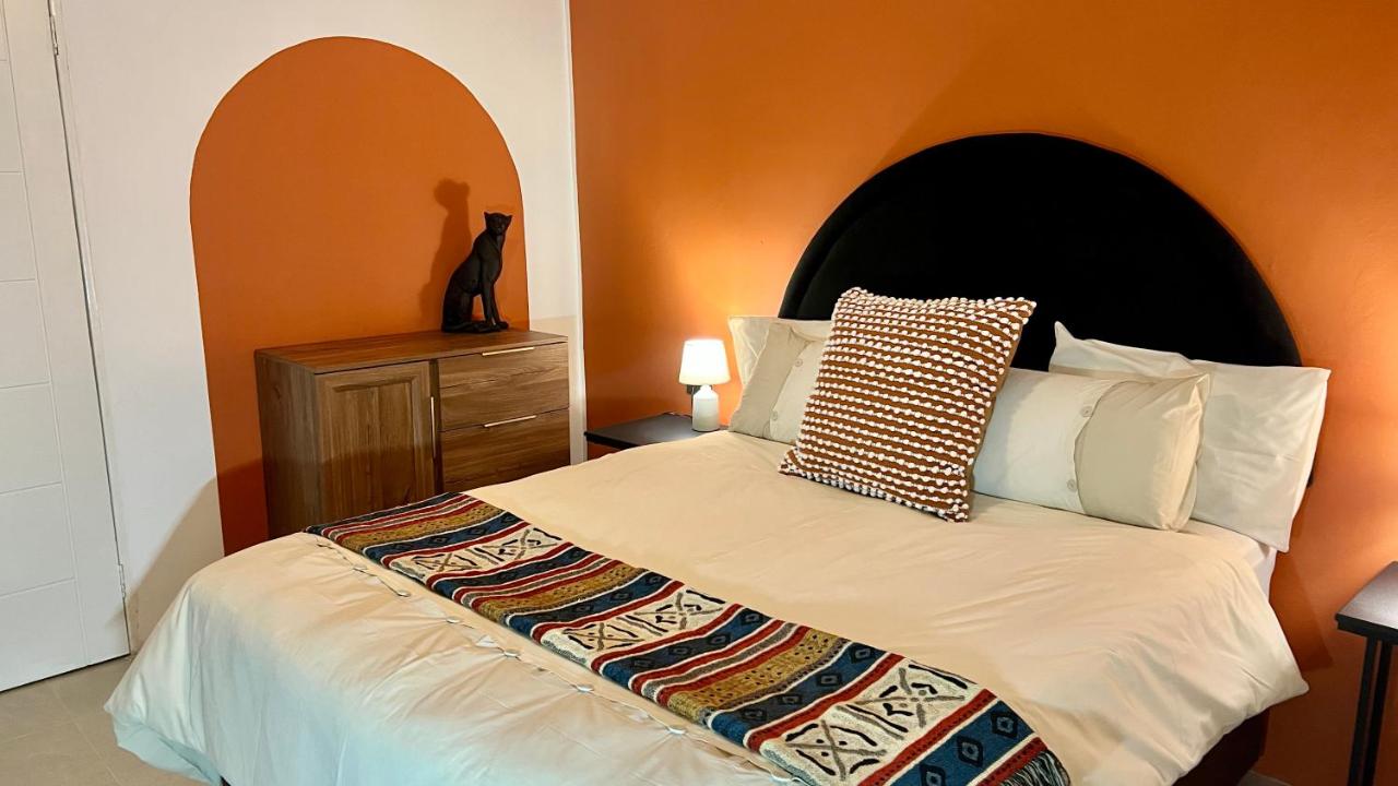 Appartement 1 Chambre - 1