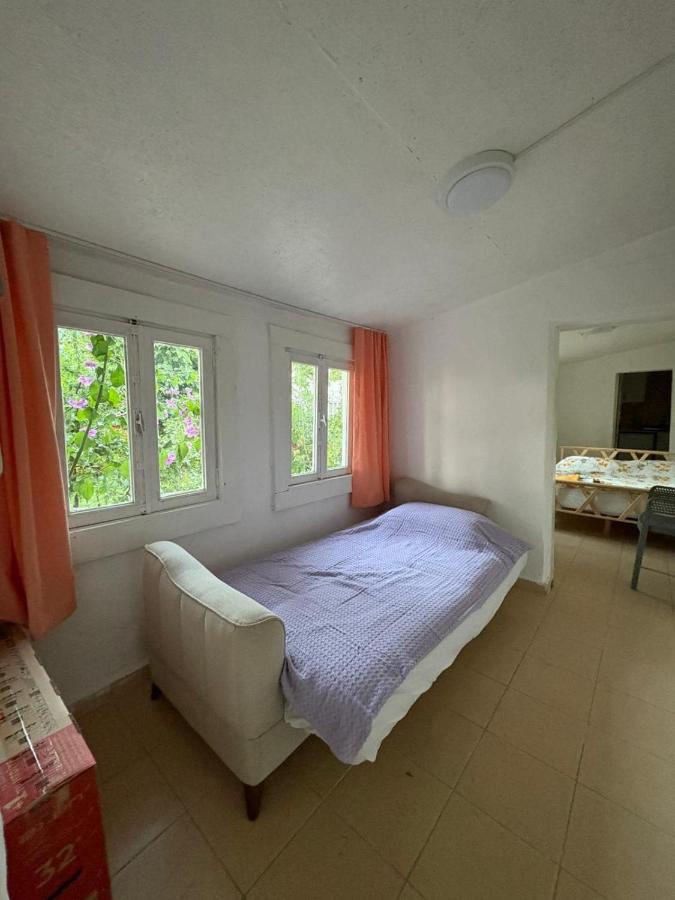In touch with nature in Büyükada - B&B