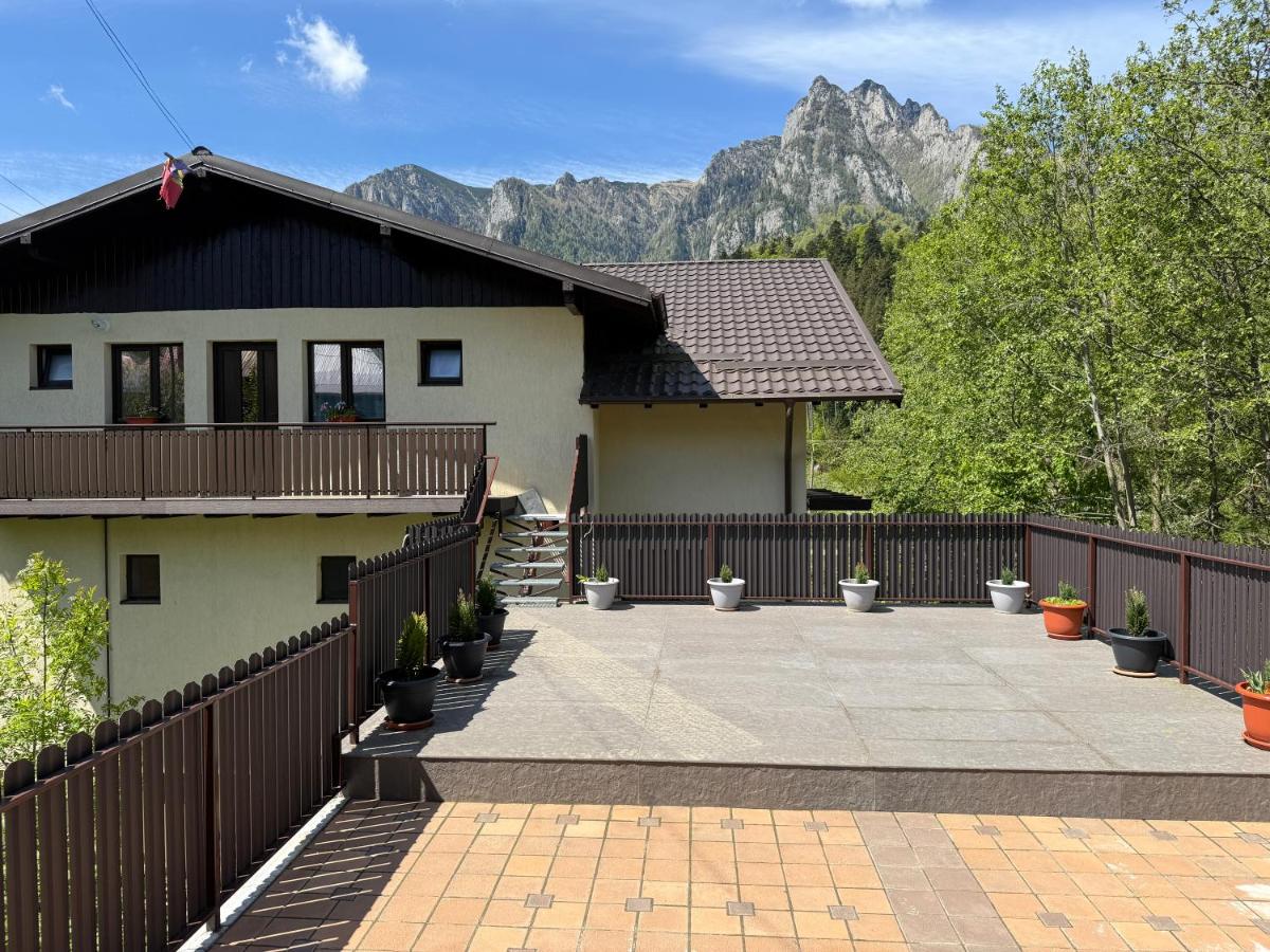 Alpin Vista - B&B Buşteni