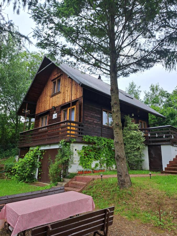 Domek z Widokiem na Zalew Soliński, Wołkowyja, Bieszczady - B&B Wołkowyja