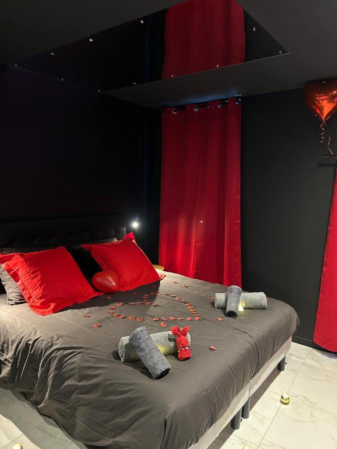 Appartement de luxe avec jacuzzi dans le centre de Macon - Chambres d’hôtes Mâcon