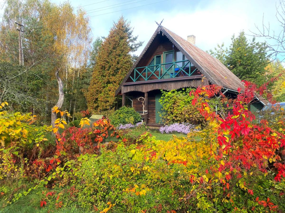 Summerhouse Labanoras - B&B