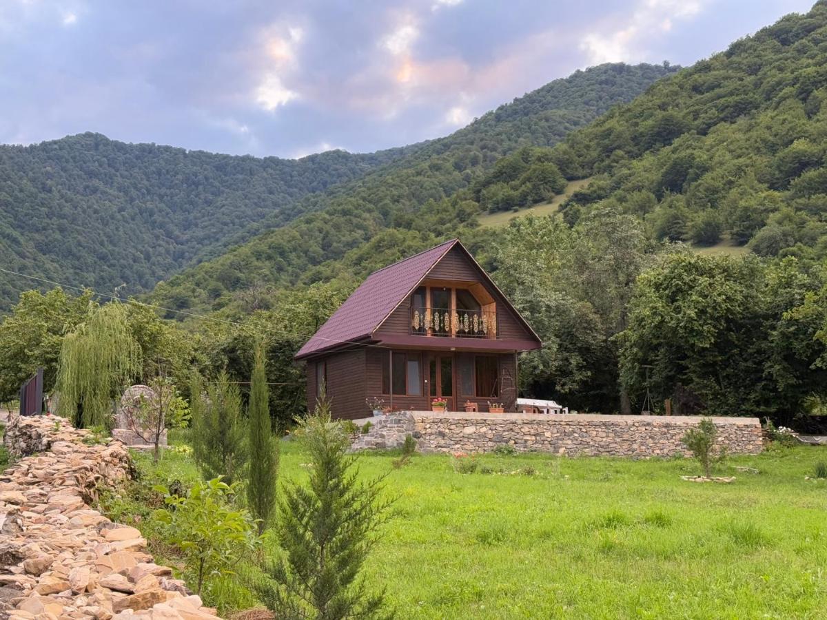 Pankisi Wooden Cottage - B&B Akhmeta