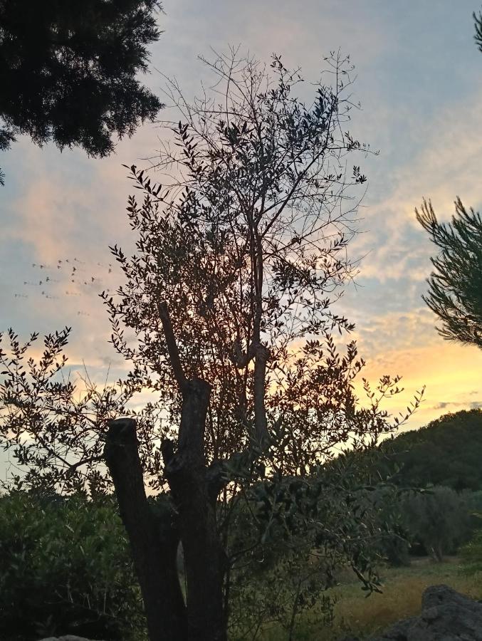 Masseria Lama - Bed and Breakfast Torre dell'Orso