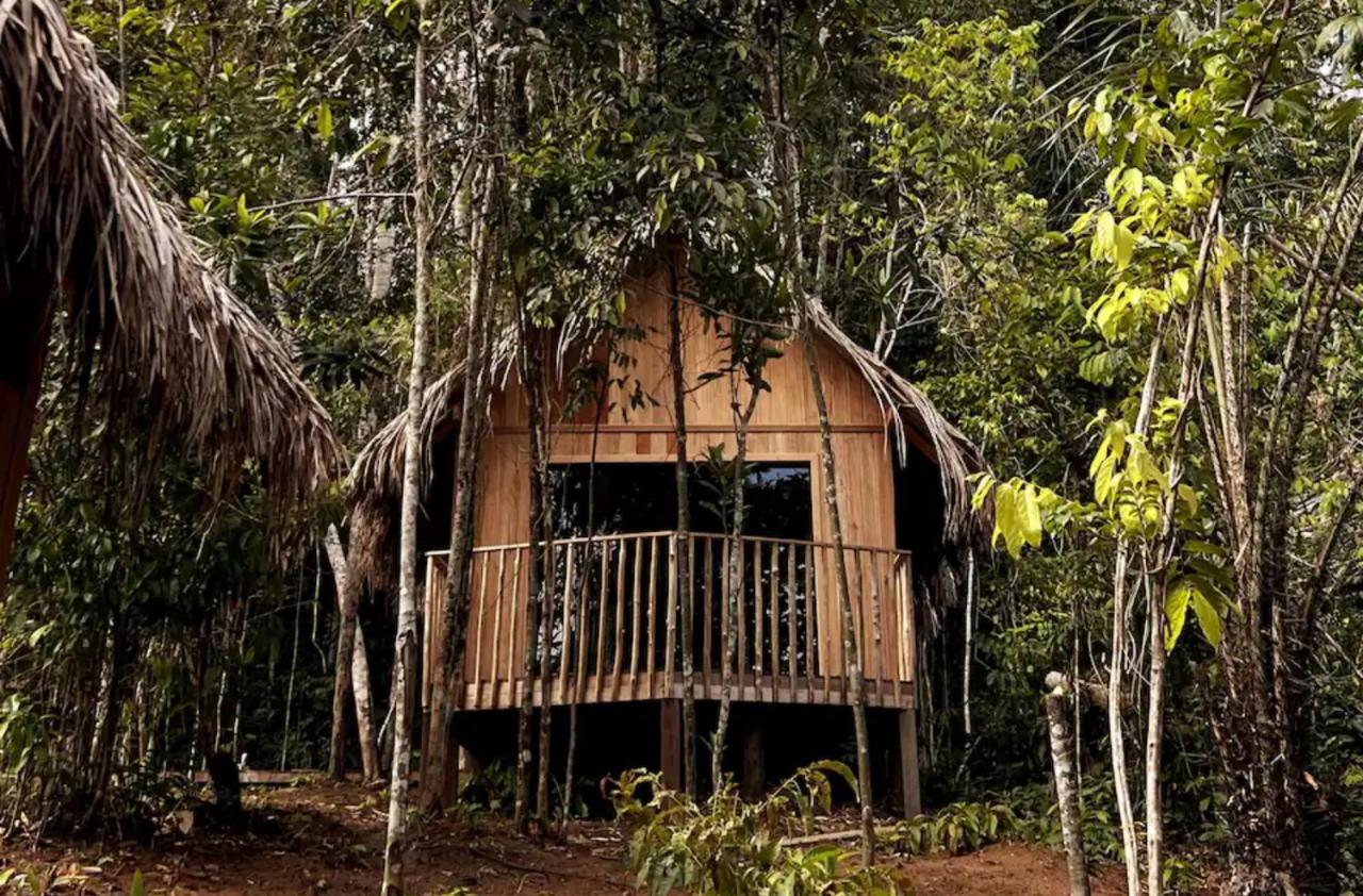 Choupanas Awa - All inclusive em Anavilhanas - B&B Novo Airão