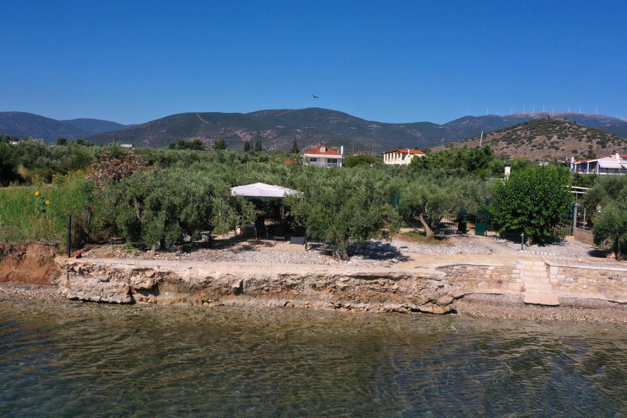 Villa of luxury and serenity - B&B Kivéri