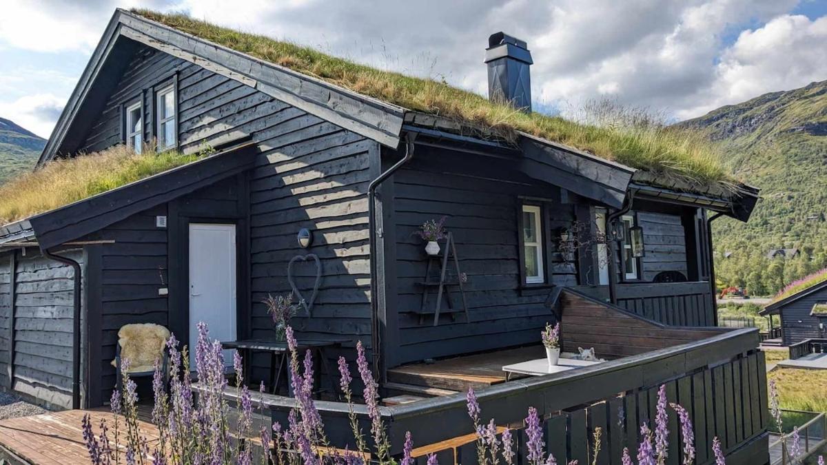 Romslig leilighet sommer og vinter - B&B Tyinkrysset