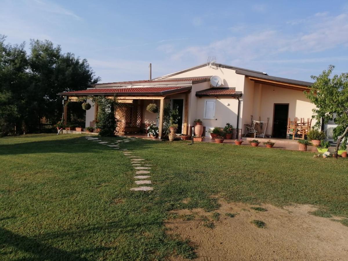 Casa vacanze Le mimose Colline di Tropea - B&B