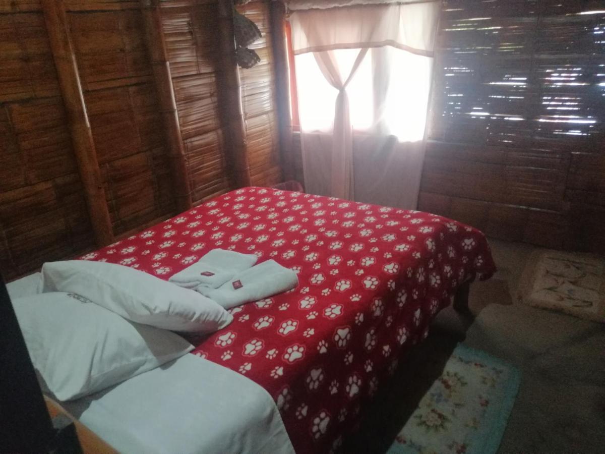 Hostal El Bambú - B&B