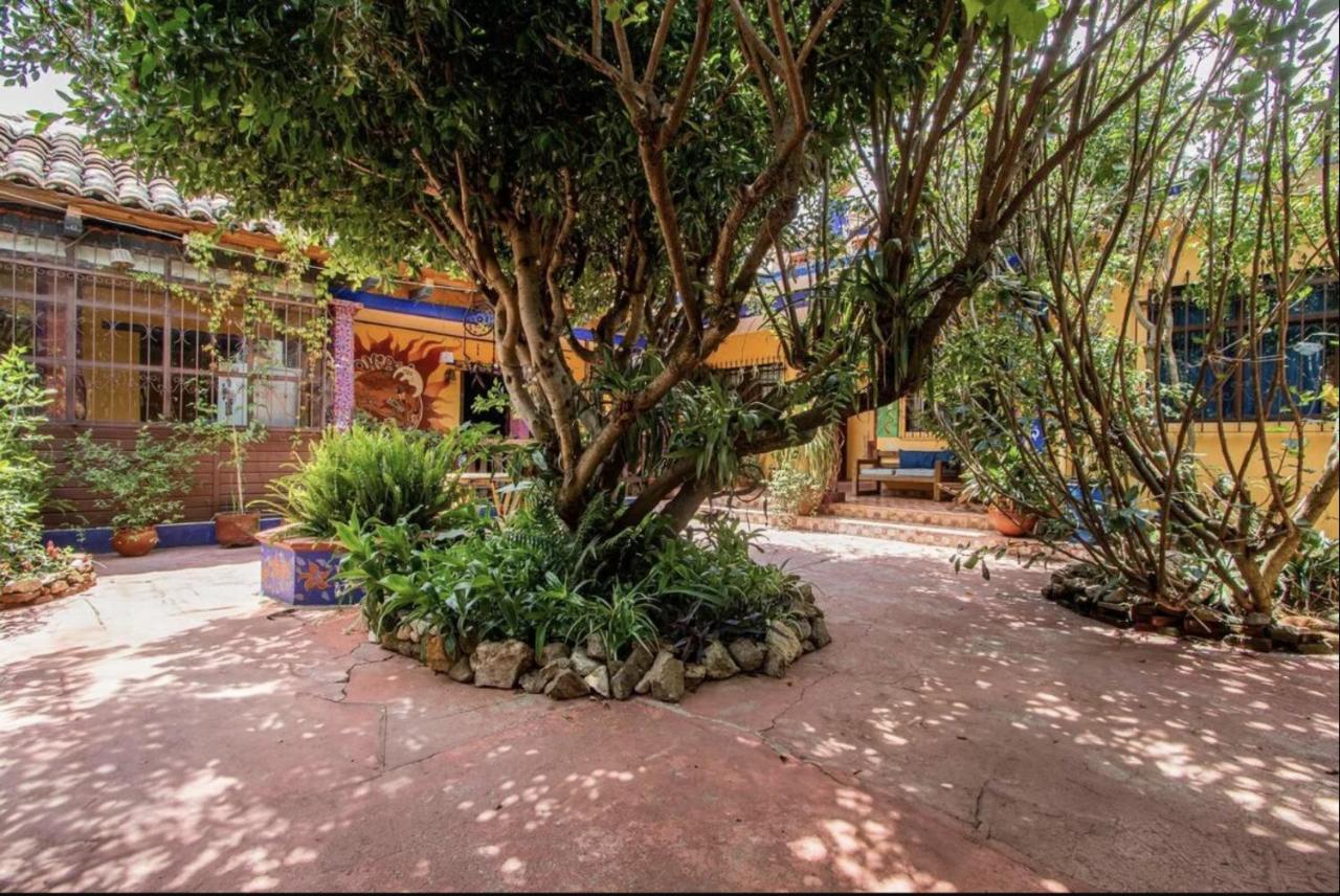 Qhia coliving - B&B