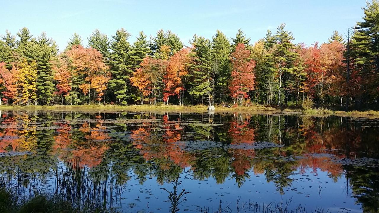 Pet-friendly, secluded, and peaceful pondside home near to Keene and Rindge NH - B&B