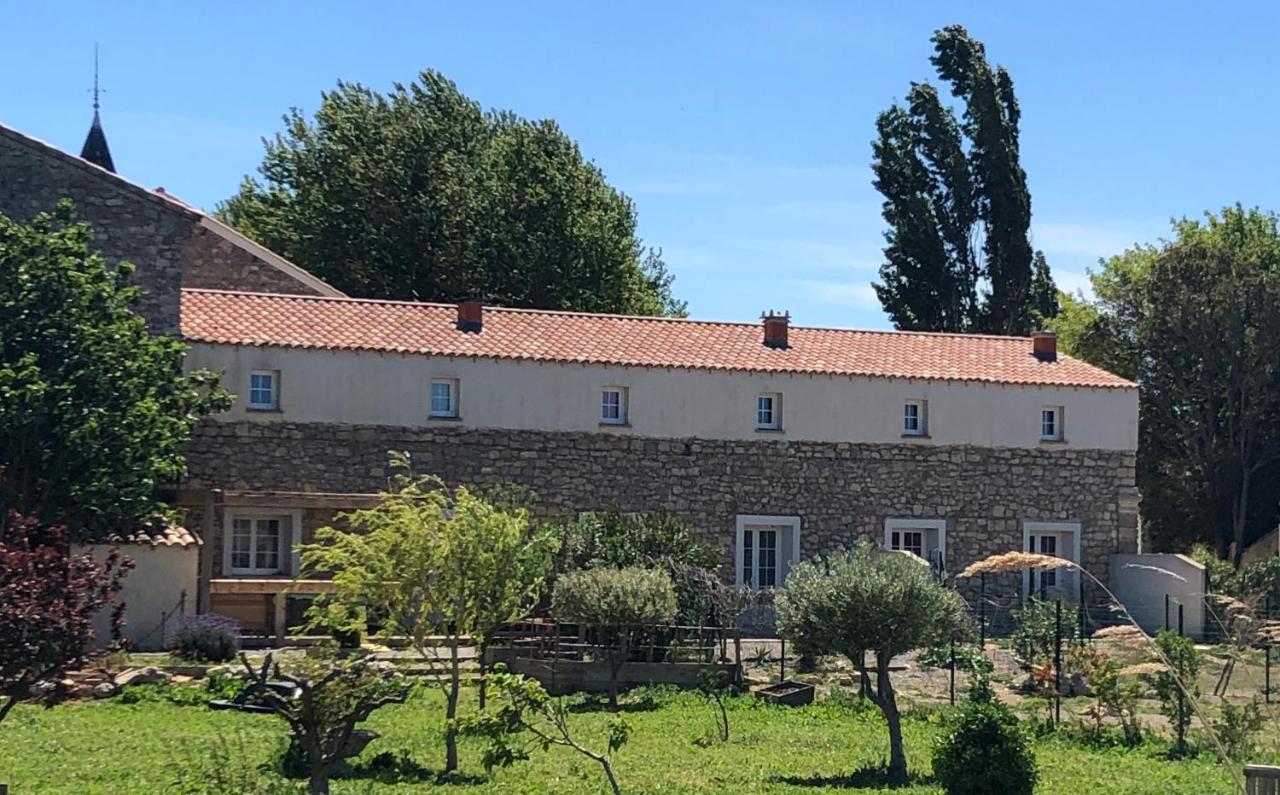 chateau Laprade Narbonne - B&B Narbona