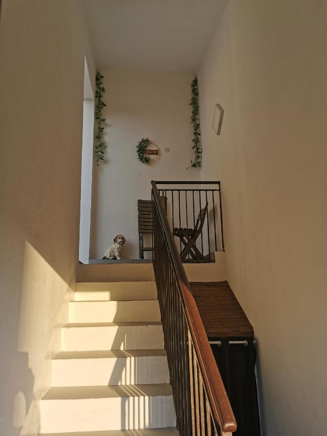 Il Vialetto - B&B Elmas