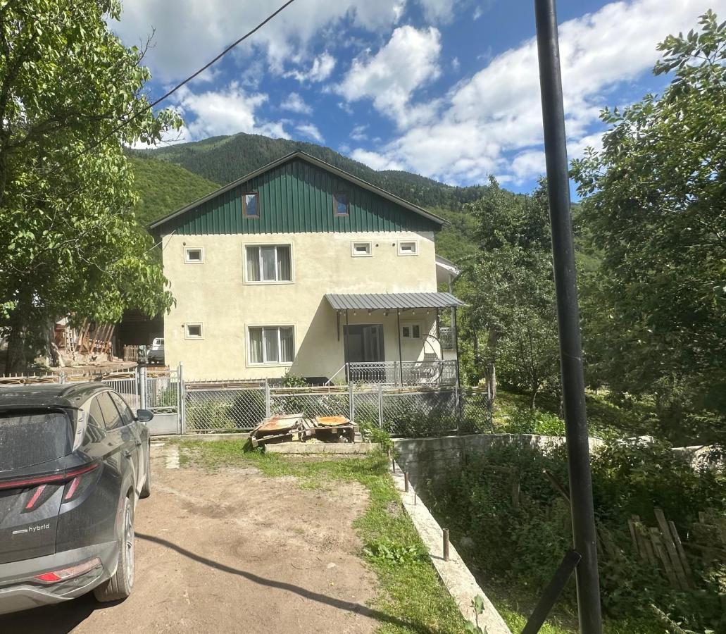 Guest House Vivaushba - B&B Bagvdanari