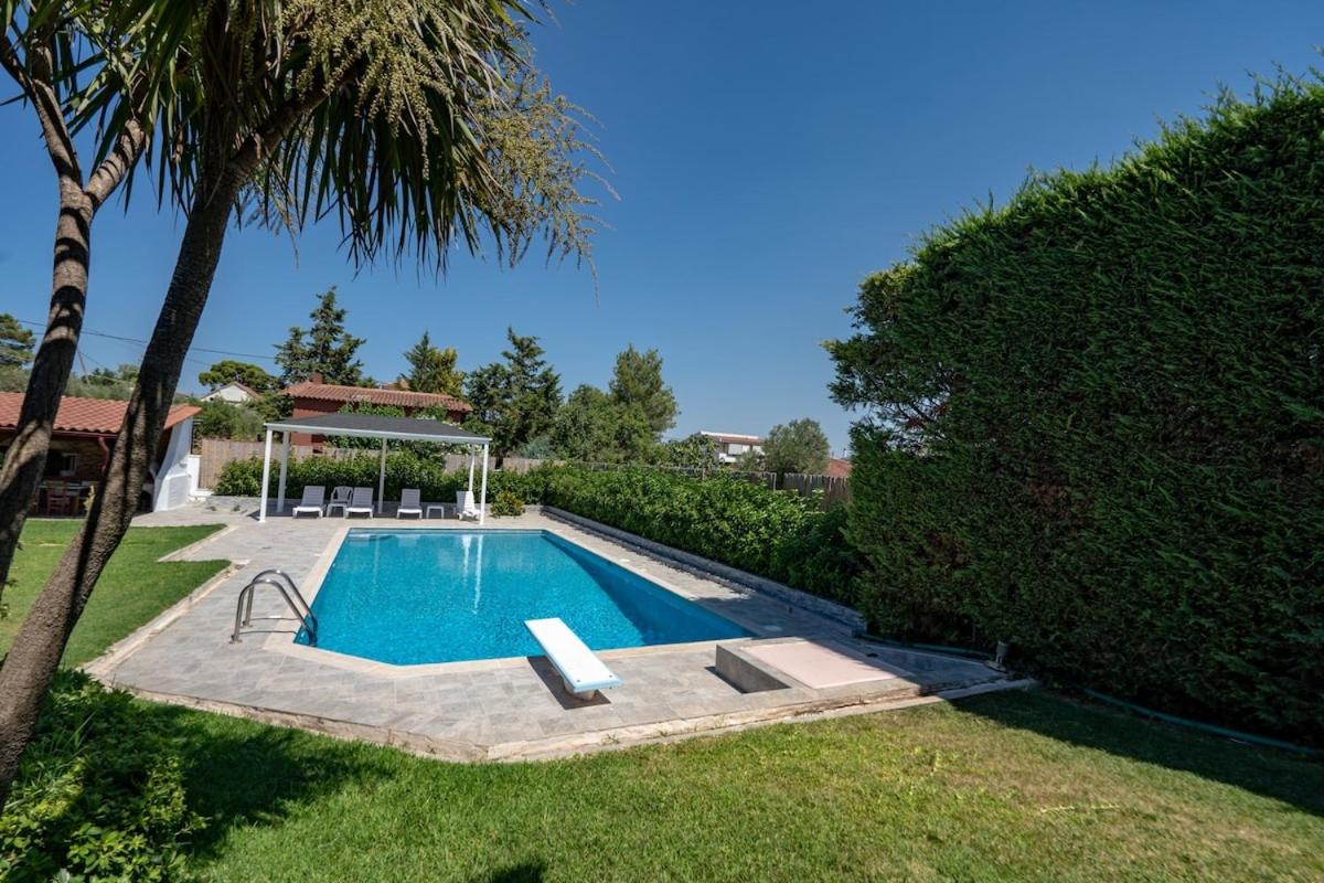 Poolside Paradise Dilesi by ΜΡS - B&B