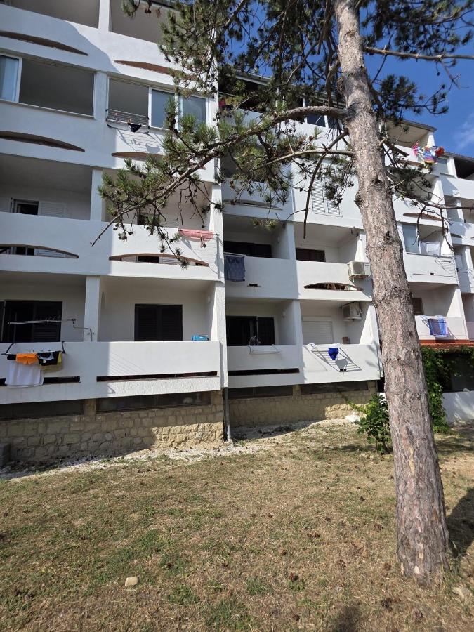 Apartment Borna Pag - B&B