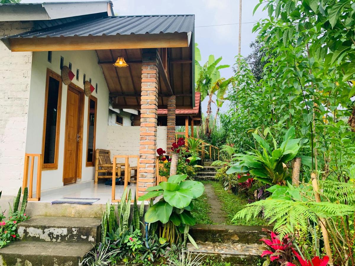 Asan Rinjani Homestay Tetebatu - B&B