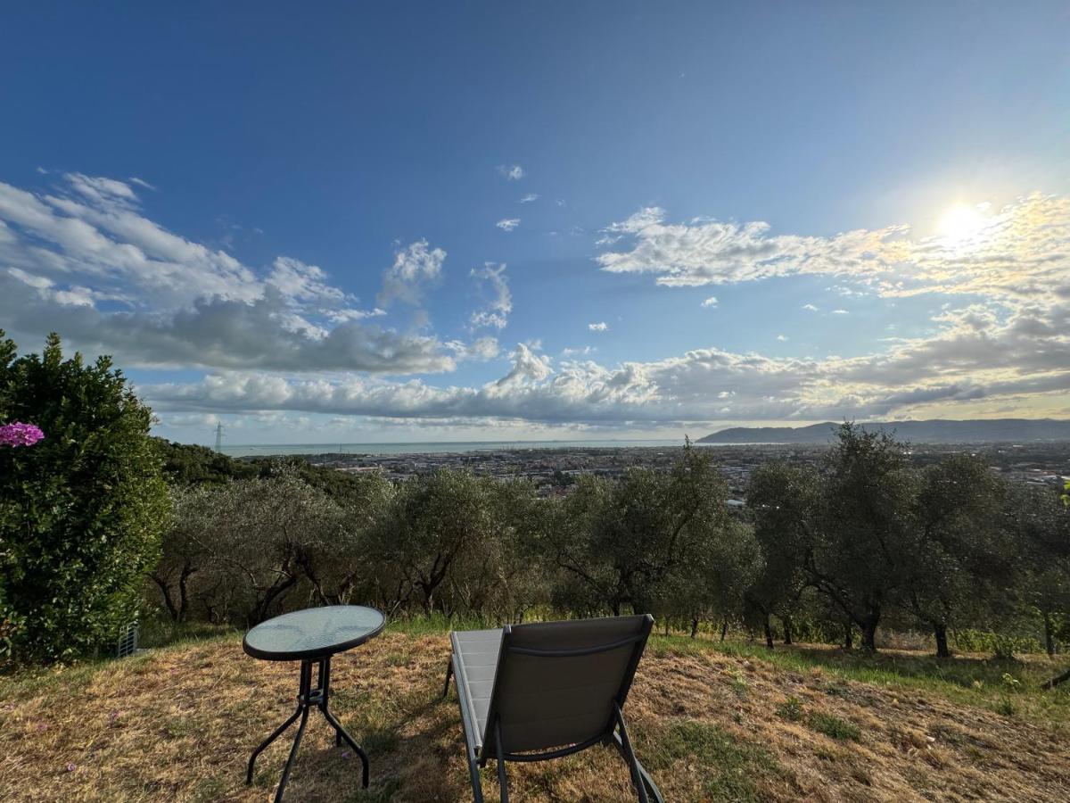 Forma Alta 59 Vineyard Reserve - B&B Avenza