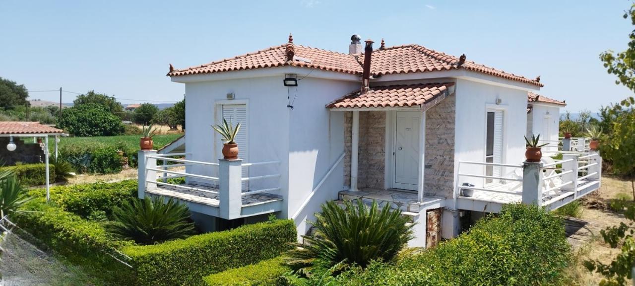 Antissa House in Carpe Diem Villas and Houses - B&B