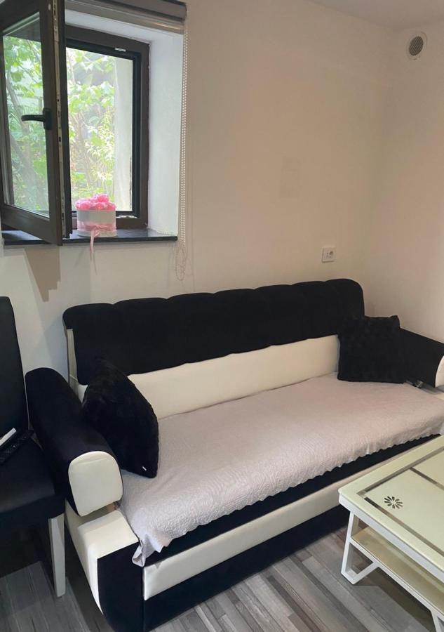 One-Bedroom Apartment with Terrace