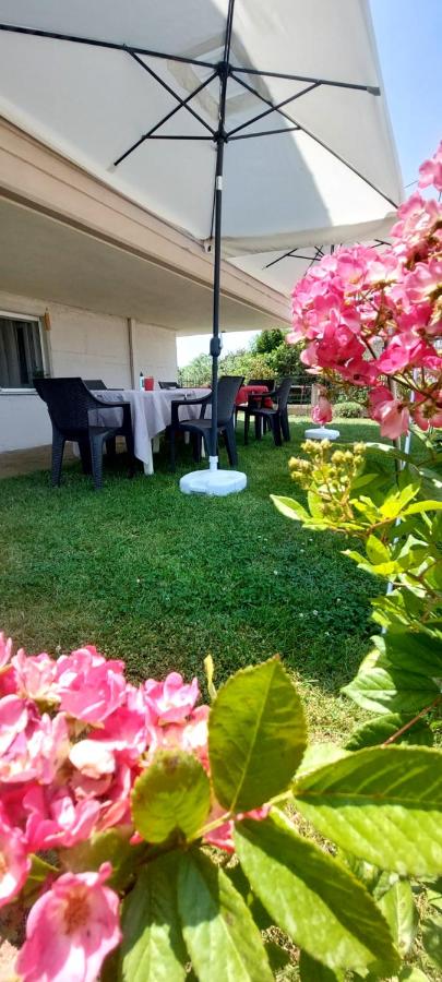 ODYSSEUS Studios - B&B Keramoti