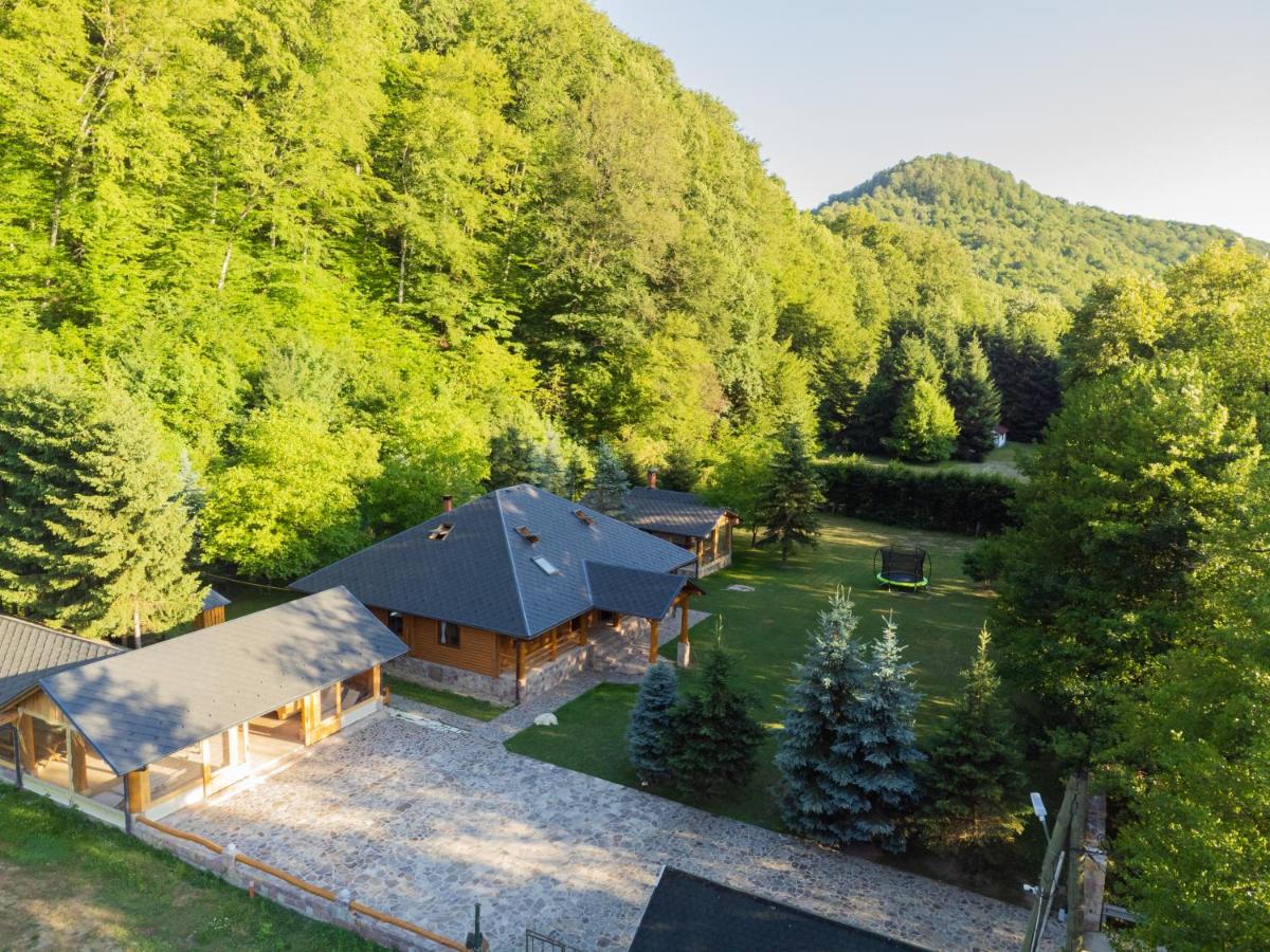 Cabana Valea Râului Vârciorog - B&B