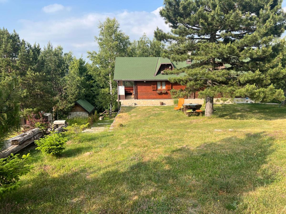 Kraljeva breza - B&B