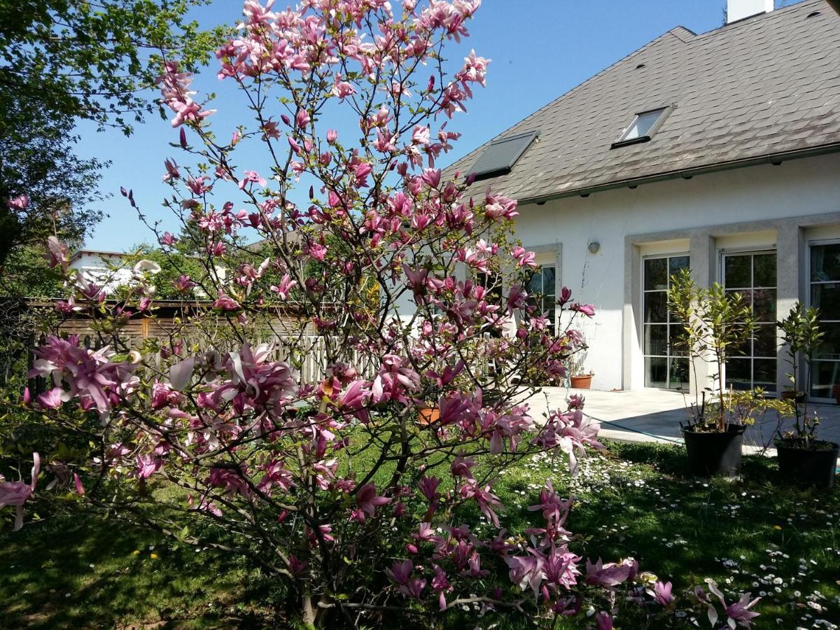 Ferienwohnung Heider - B&B Neusiedl am See