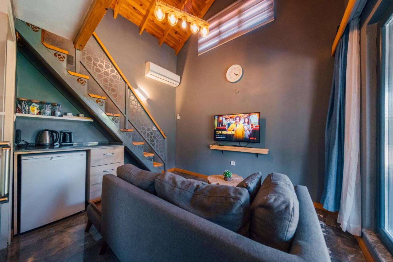 Standard Villa