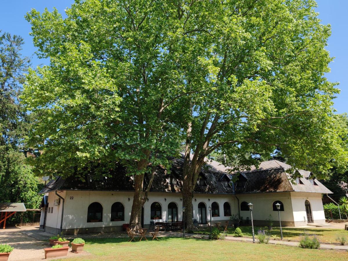 Garden Szálláshely - B&B
