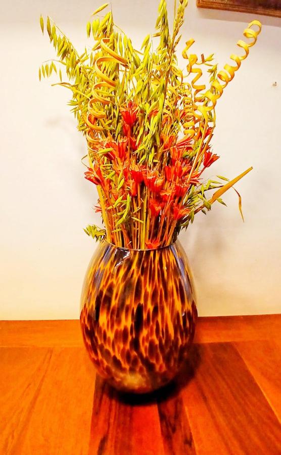 Grimaldi Apartments Cannaregio - B&B