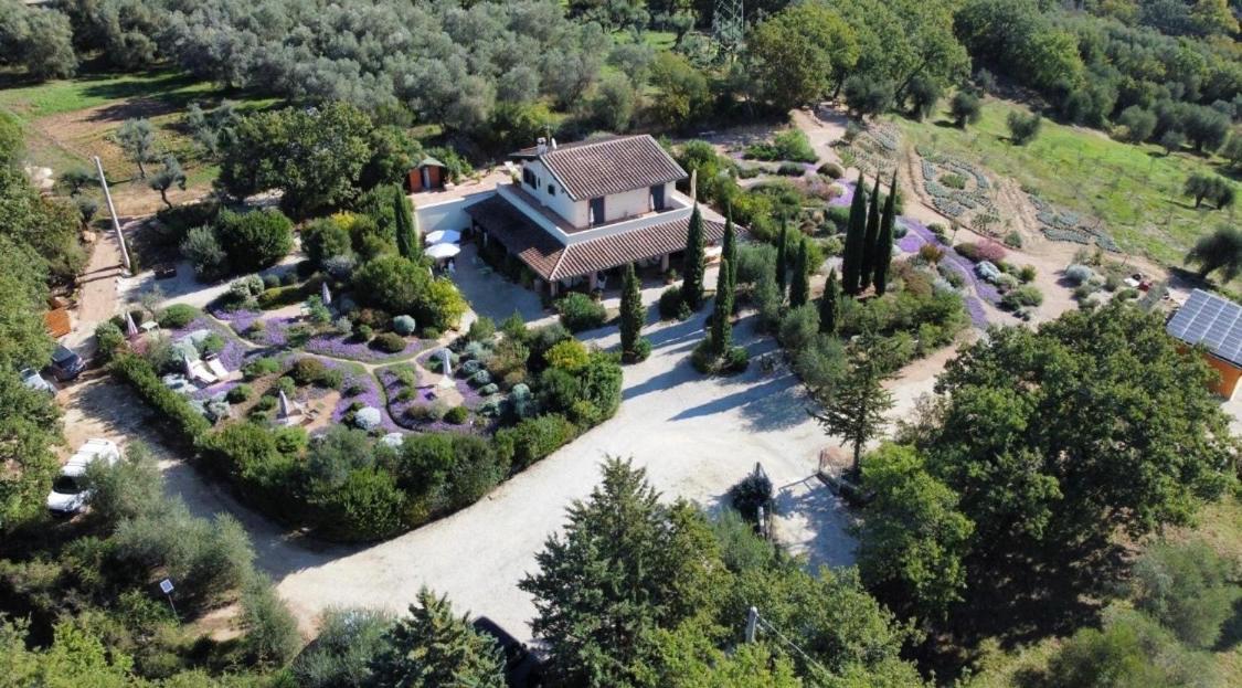 Casale Terre Rosse - B&B Saturnia