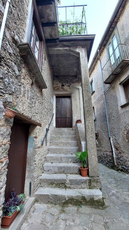 Selice 9 B&B - B&B