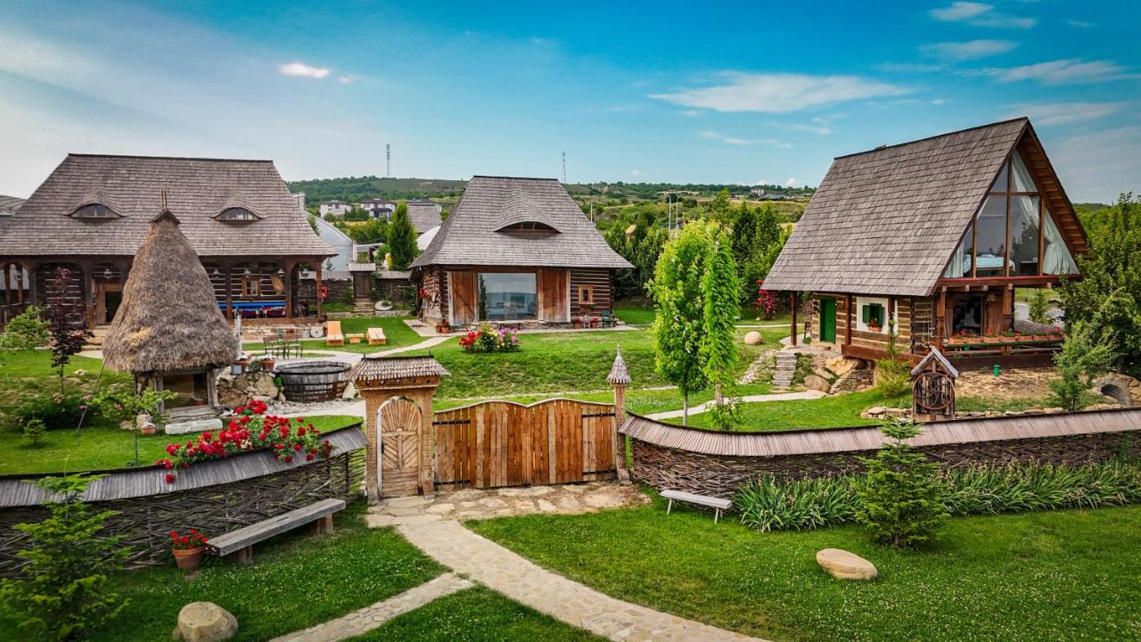 Echoes of Vlădicu - B&B