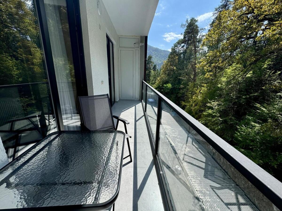 Borjomi - Likani idyllic 2 Room apartment with Balcony - B&B Bordshomi