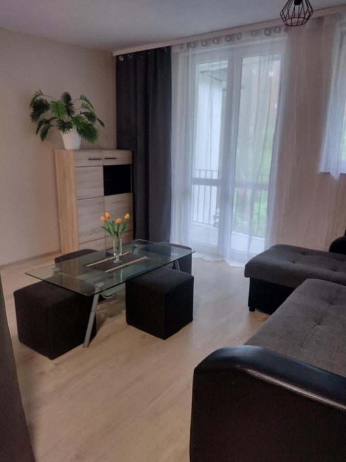 Positive energy 2 - Ferienwohnung Sulejów