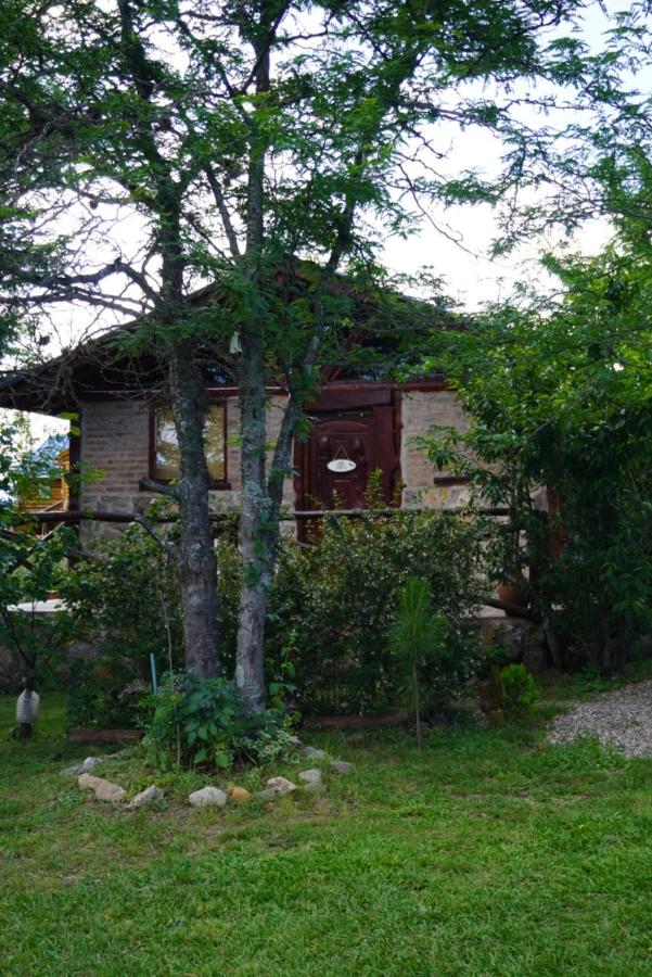 Double Room with Park View