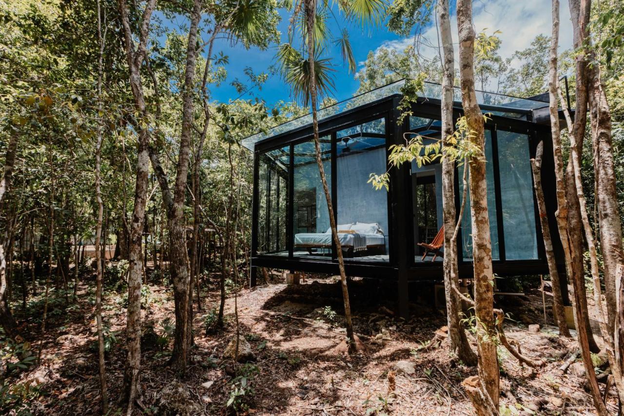Habitación Superior con cama extragrande