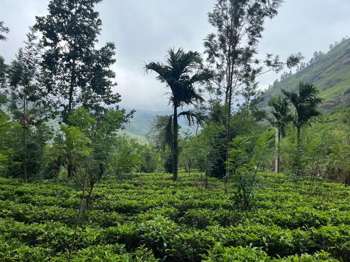 Stone Gale Estate Villa - Ferienwohnung Galaha