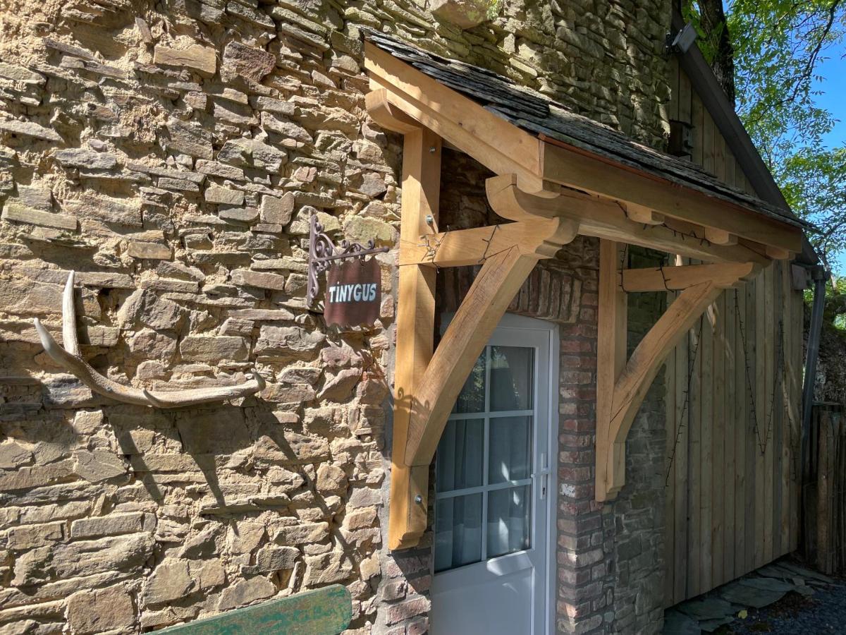 Tiny Gus - B&B Manhay