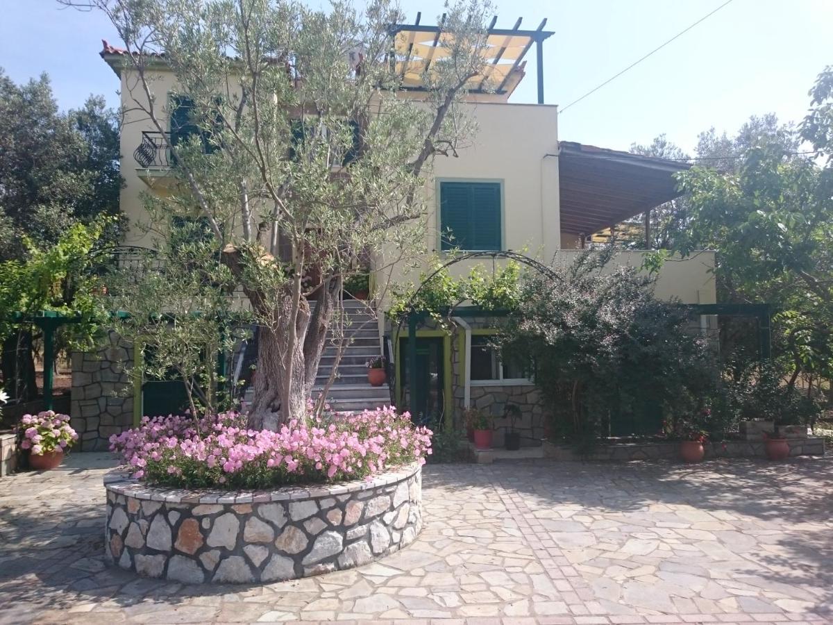 Vasiliki Studios - Bed and Breakfast
