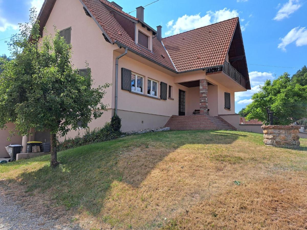 Holiday Home in Reipertswiller near Castle - B&B