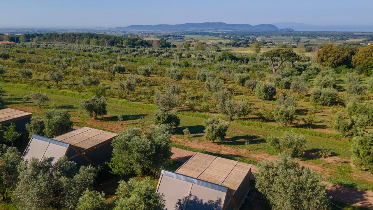 Agriturismo Glamping L'Olivo Country Holidays - B&B