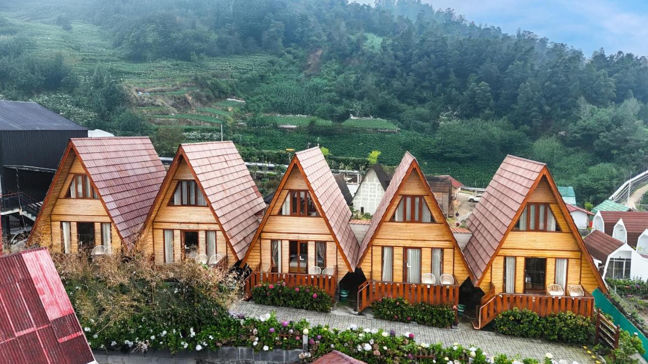 Diamond Cabin House - B&B Dieng