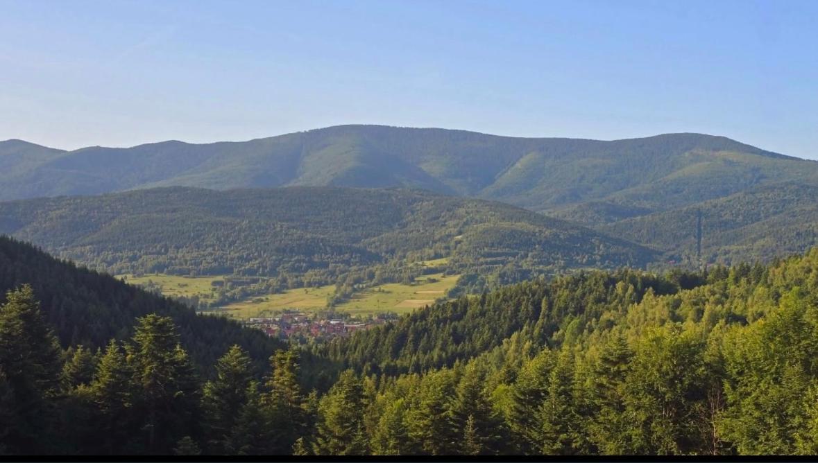 Apartament Buldog - Bed and Breakfast Zawoja